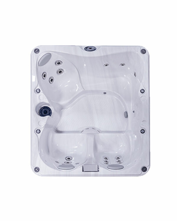 Spa jacuzzi J-225 cuve calmus wellness spa 4 pers