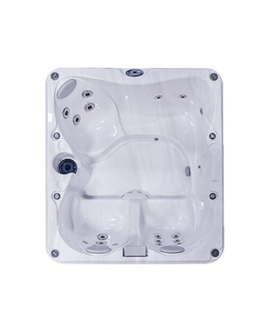 Spa jacuzzi J-225 cuve calmus wellness spa 4 pers