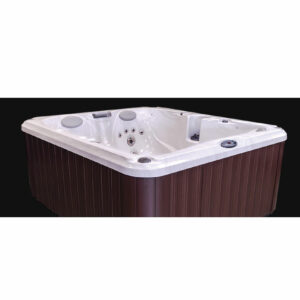 Spa jacuzzi J-225 cuve calmus wellness spa 4 pers
