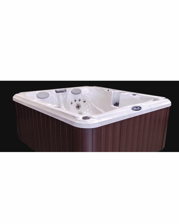 Spa jacuzzi J-225 cuve calmus wellness spa 4 pers